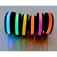 Best quality best sell light up led cat collar